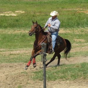 Meet your Posher, Caleb